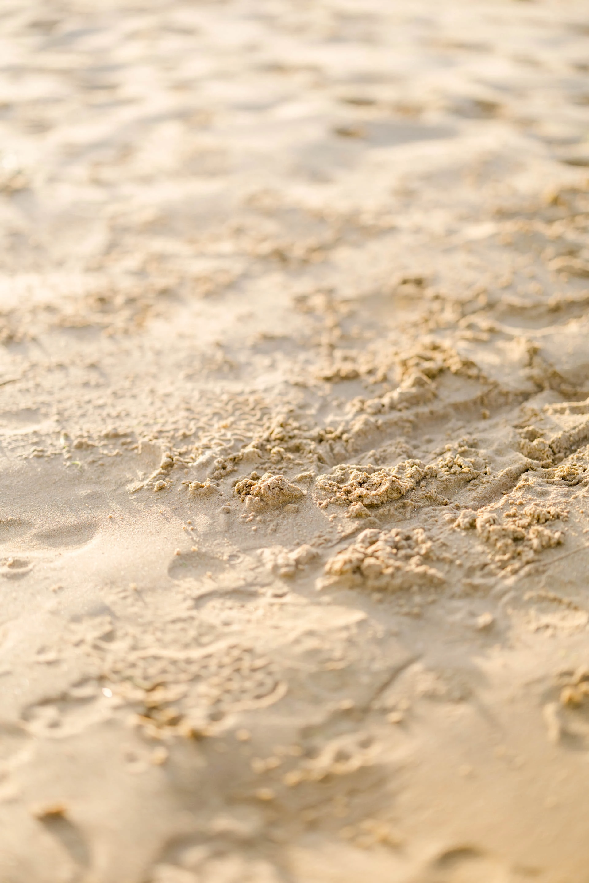 brun sable plage gris marron